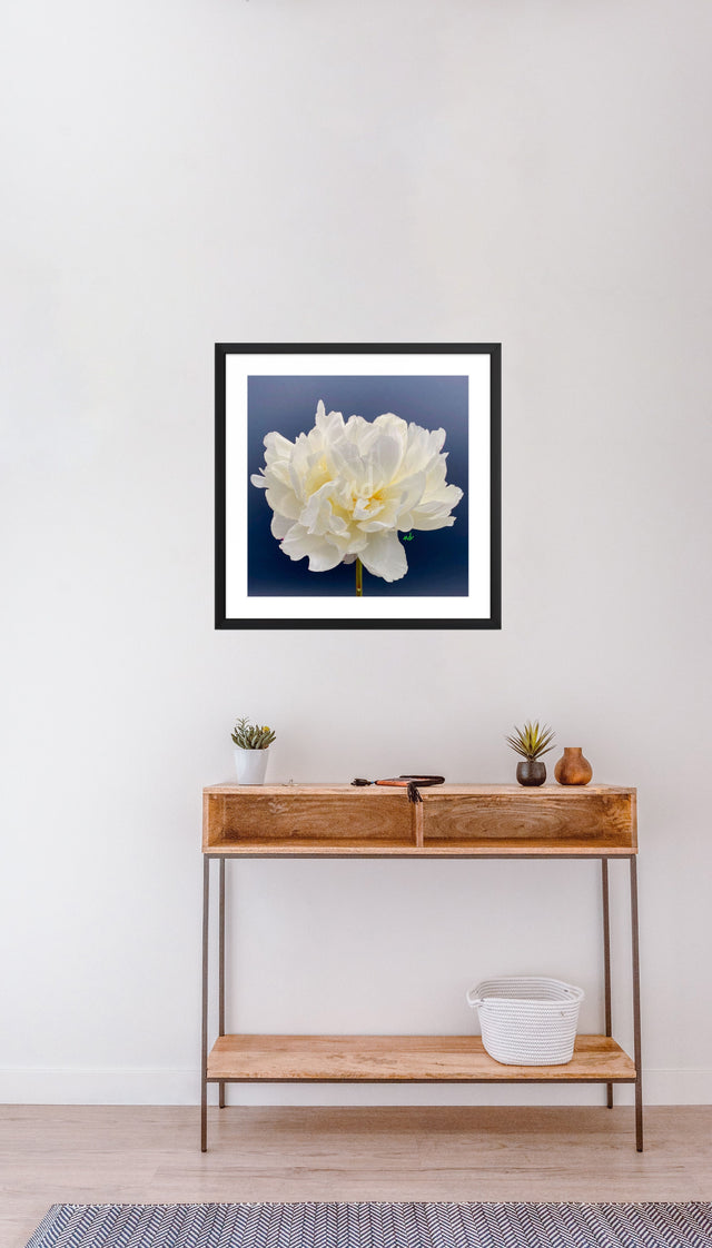 "40 Love" White Peony Floral Art Print