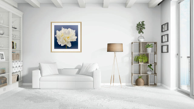 "40 Love" White Peony