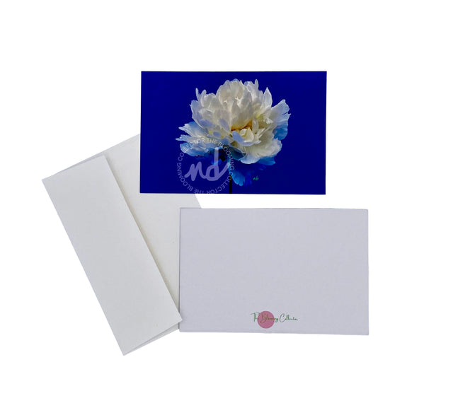 "Balboa Blue" Peony Notecards – Box of 8 with Envelopes