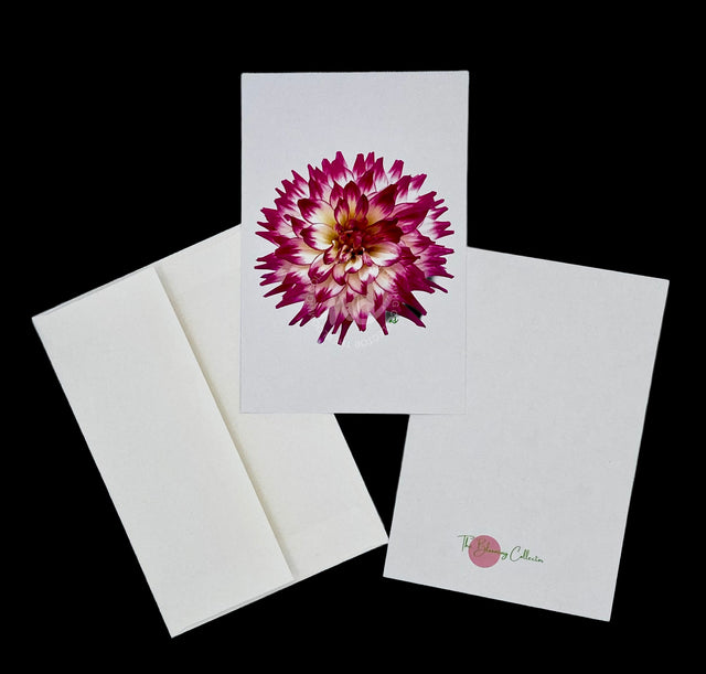 "Born to be a Star" Dahlia Notecards – Box of 8 with Envelopes
