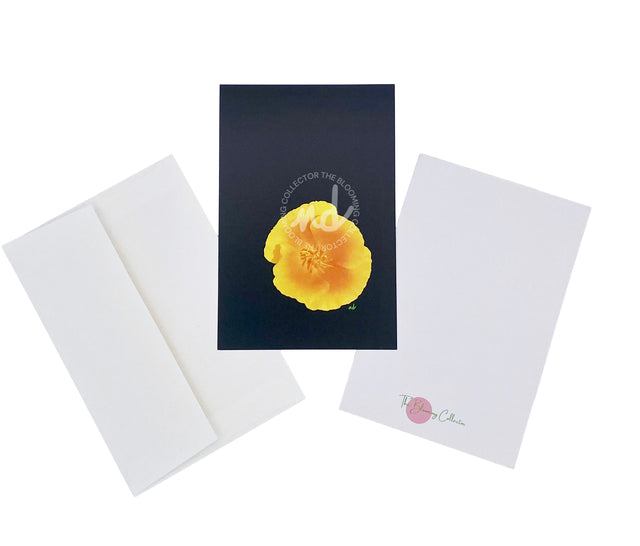 "California Poppy" Notecards – Box of 8 with Envelopes
