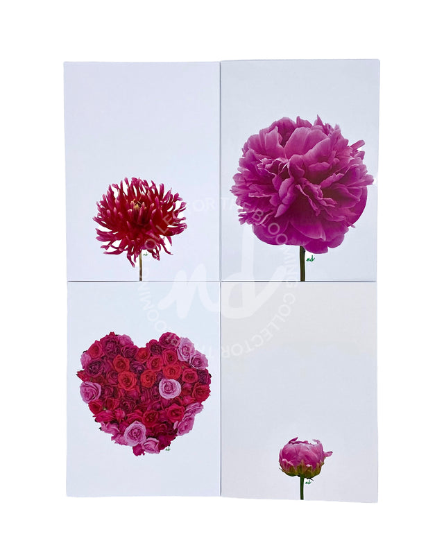 The Blooming Collector Cards- Box of 8 Mixed Cards