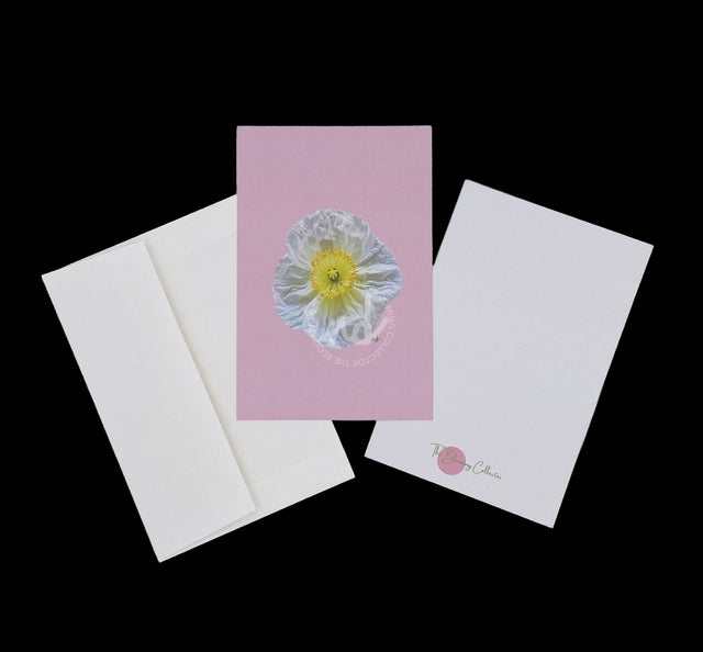 "Plush Poppy" Poppy Notecards – Box of 8 with Envelopes
