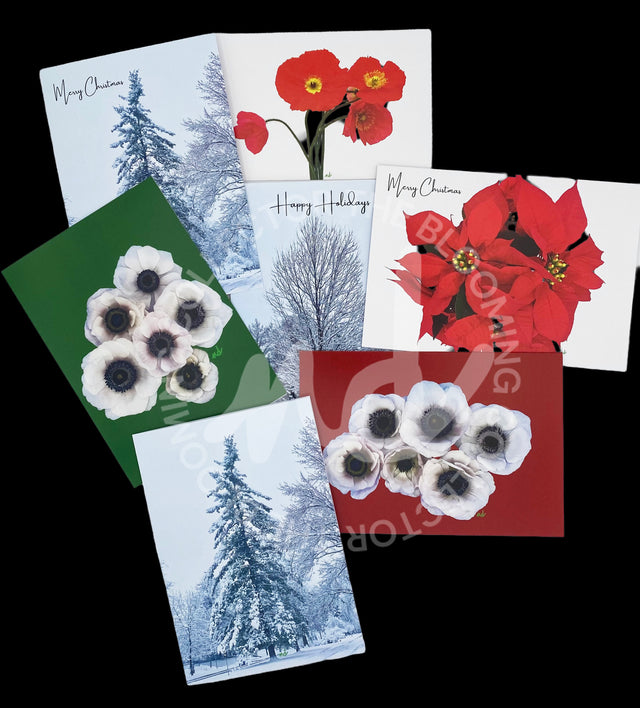 "The Blooming Collector Holiday Cards" – Box of 8 Mixed Holiday Cards with Envelopes