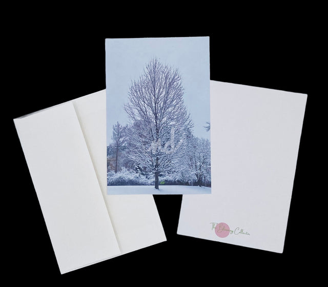 "Winter Tree" Notecards – Box of 8 with Envelopes