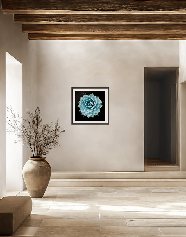 "Artichoke Agave" Desert Collection