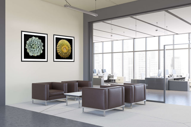 "Agave Attitude" Desert Collection