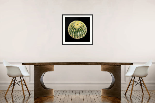 "Barrel Cactus" Southwest Botanical Art Print
