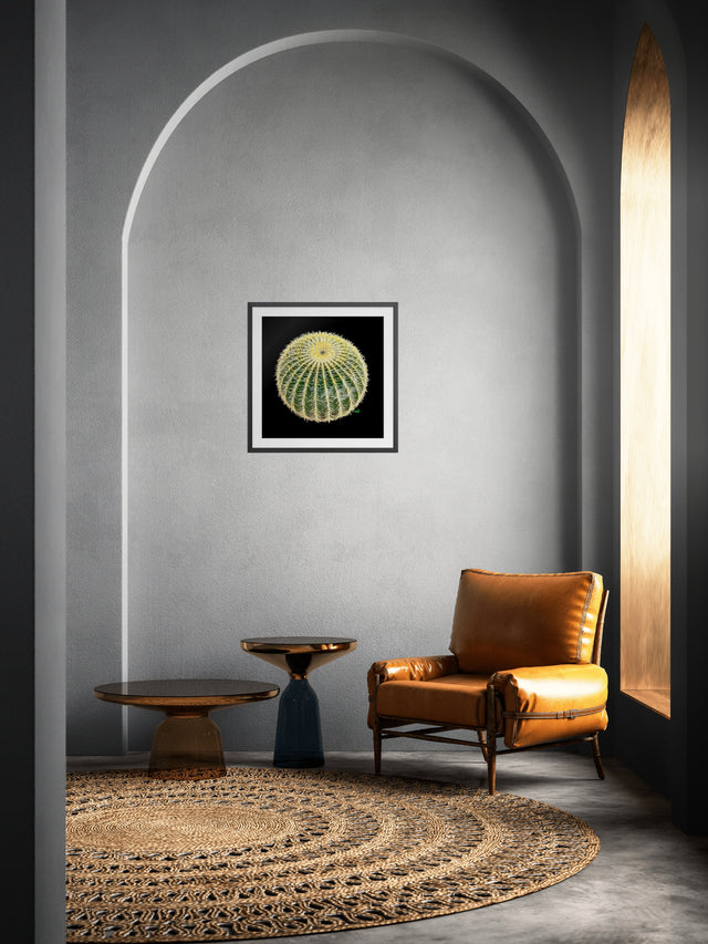 "Barrel Cactus" Southwest Botanical Art Print