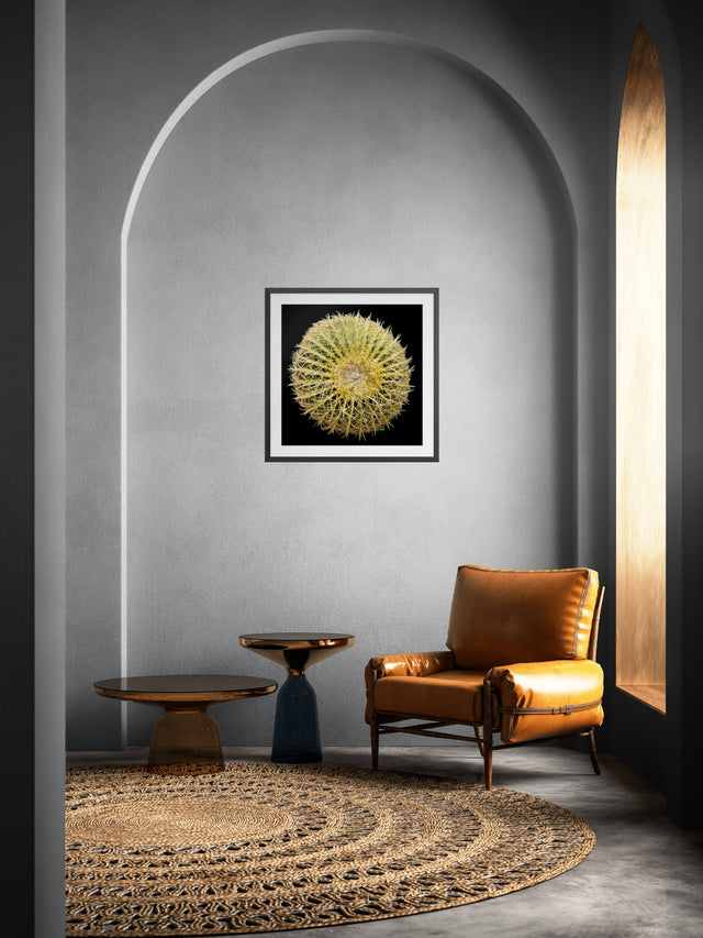 "Barrel Full of Drama" Desert Collection