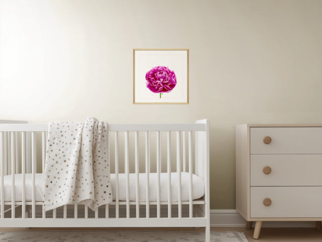 "Big Time Berry" Pink Peony