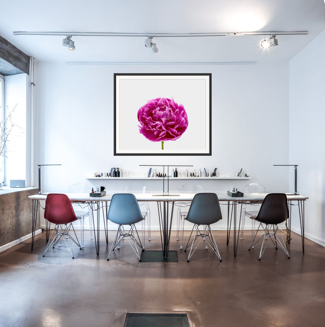 "Big Time Berry" Pink Peony