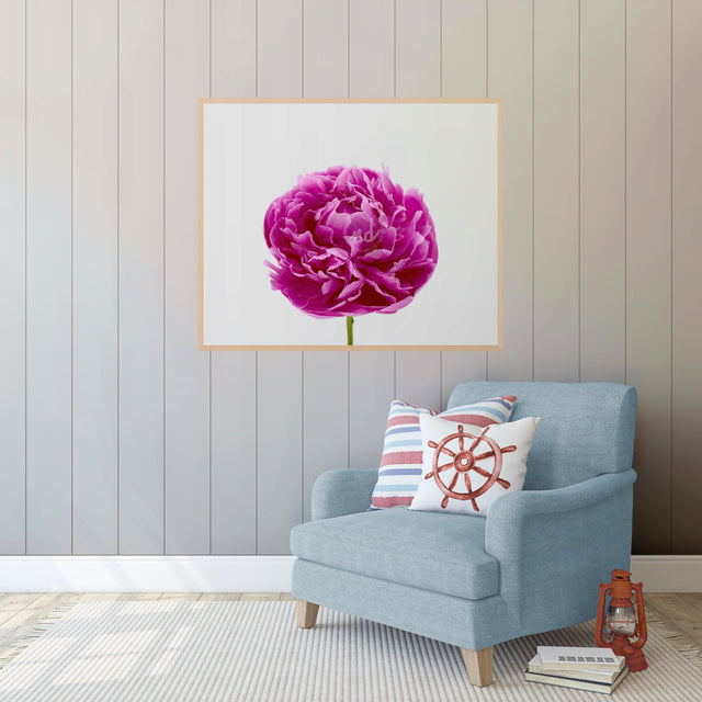 "Big Time Berry" Pink Peony