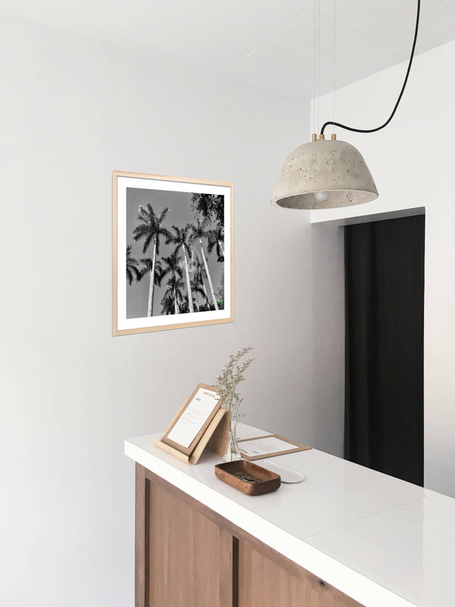 "Boca Sunny Days" B&W Palm Tree Print