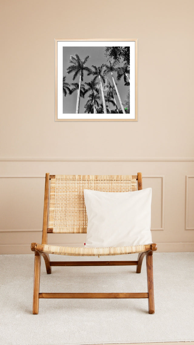 "Boca Sunny Days" B&W Palm Tree Print