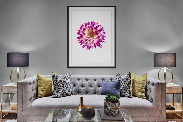 "Born to be a Star" Purple Dahlia