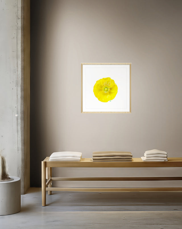 "Buttercup Bliss" Yellow Poppy Art Print