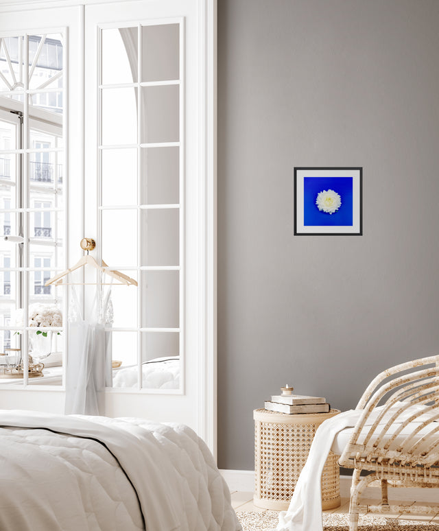 "Dahlia Darling" White Dahlia