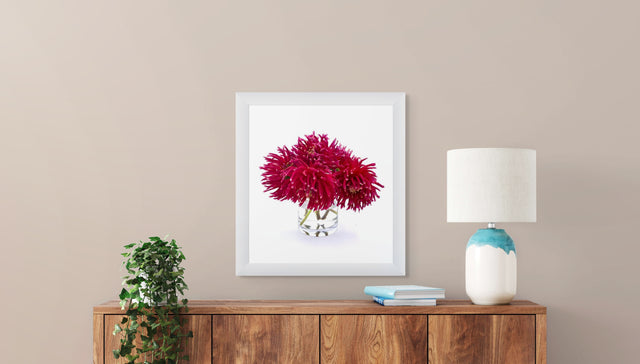 "Dancing Dahlias" Wine-Colored Dahlias