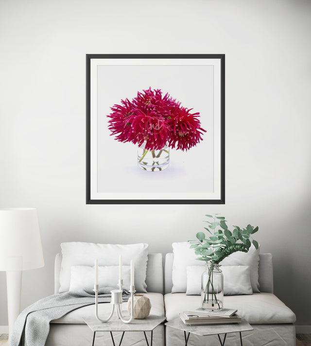 "Dancing Dahlias" Wine-Colored Dahlias