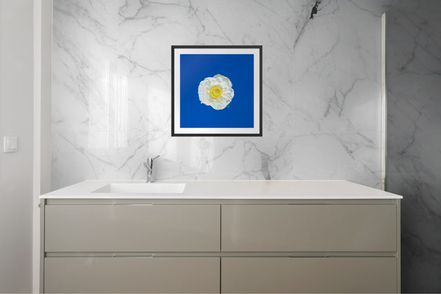 "Frenchie Flair" White Ranunculus Floral Art Print