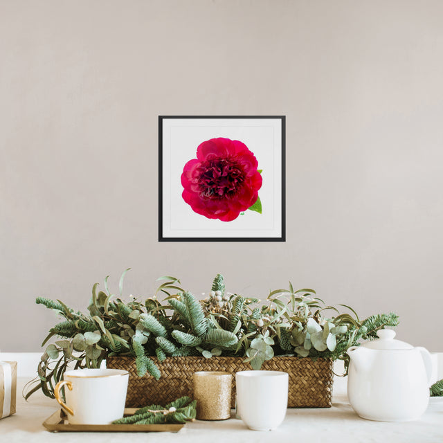 "Hearts on Fire" Red Peony