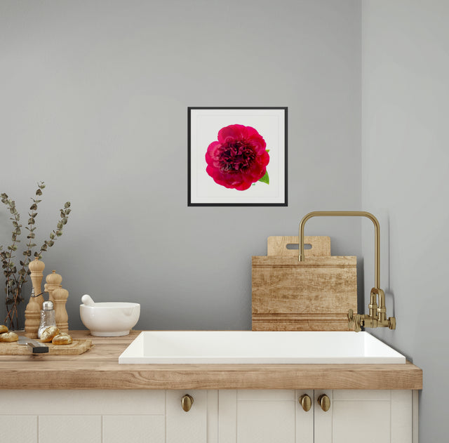 "Hearts on Fire" Red Peony