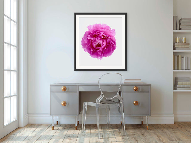 "Hubba Bubby Baby" Pink Peony