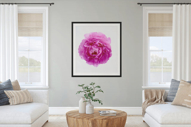 "Hubba Bubby Baby" Pink Peony