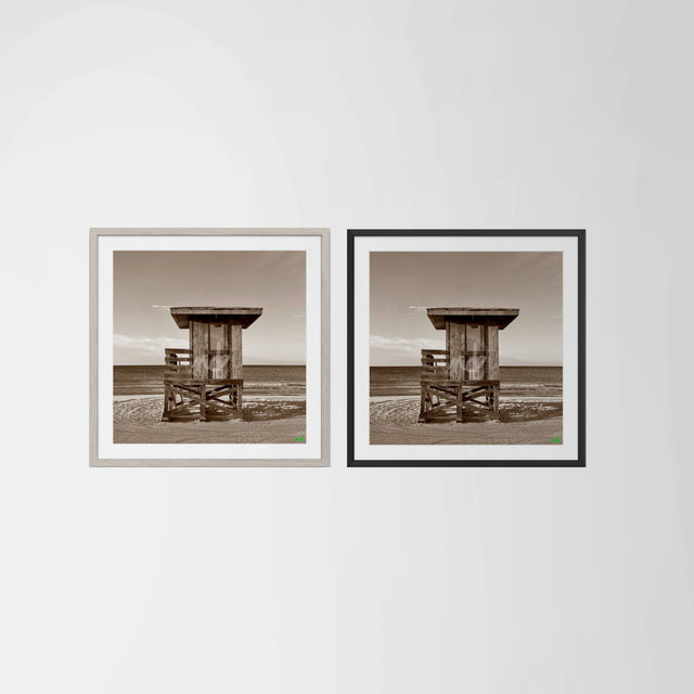 "Keeping Watch at Lido Key" Coastal Collection