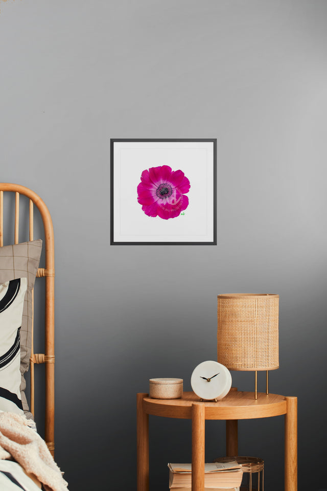"Magenta Magic" Anemone