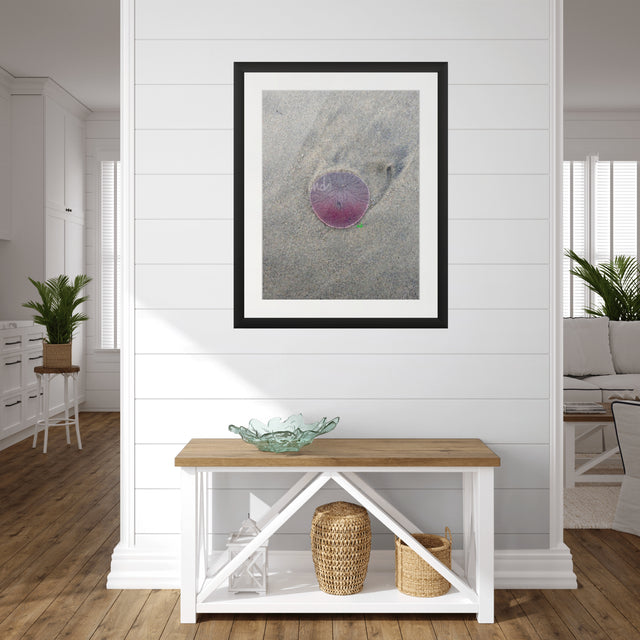 "Morning Drift" Coastal Collection