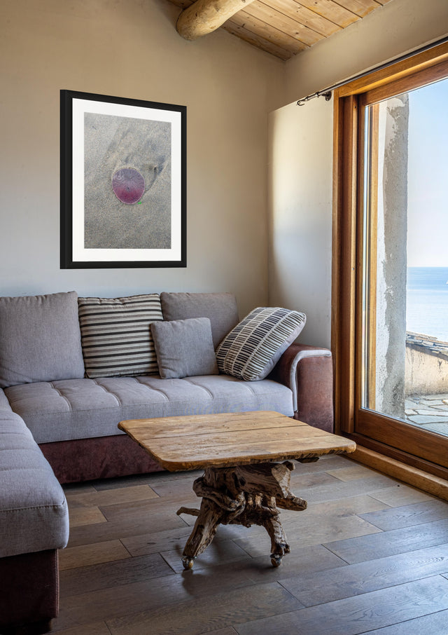 "Morning Drift" Coastal Collection