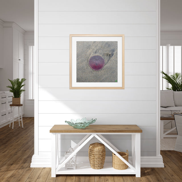 "Morning Drift" Exhibition Winner-Other