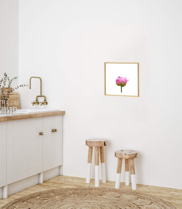 "Pink Prodigy" Pink Peony Bud Floral Art Print