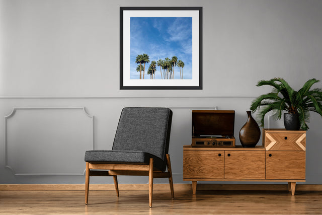 "Palms in Paradise Valley" with Blue Sky