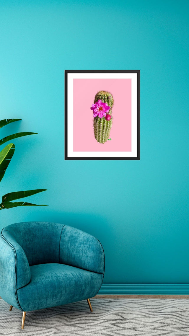 "Sassy Succulent" Desert Collection