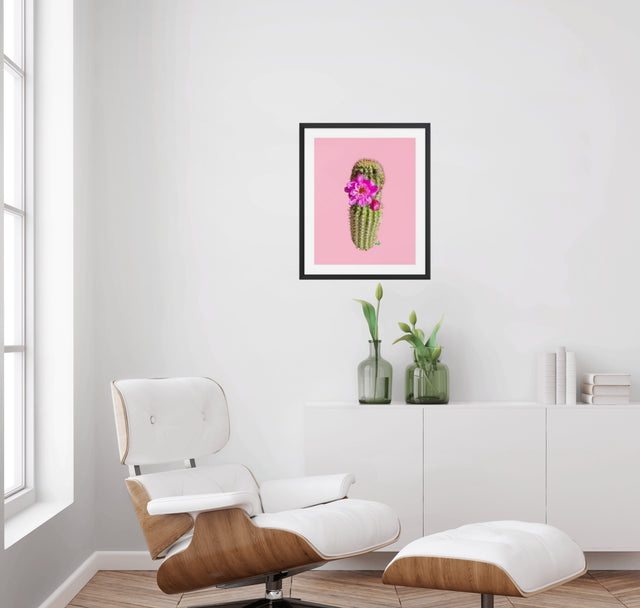 "Sassy Succulent" Desert Collection