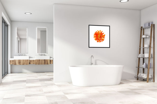 "Sun Kissed Zinnia" Orange Zinnia