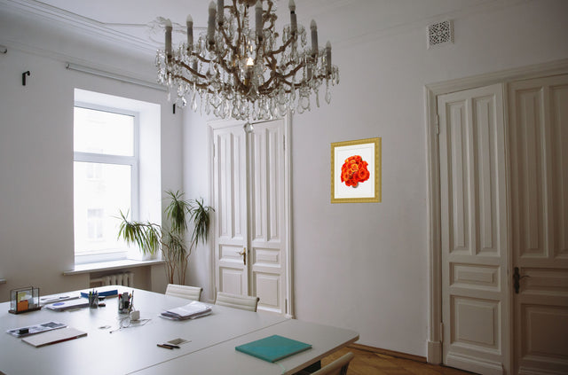 "Sunset Orange" Orange Roses