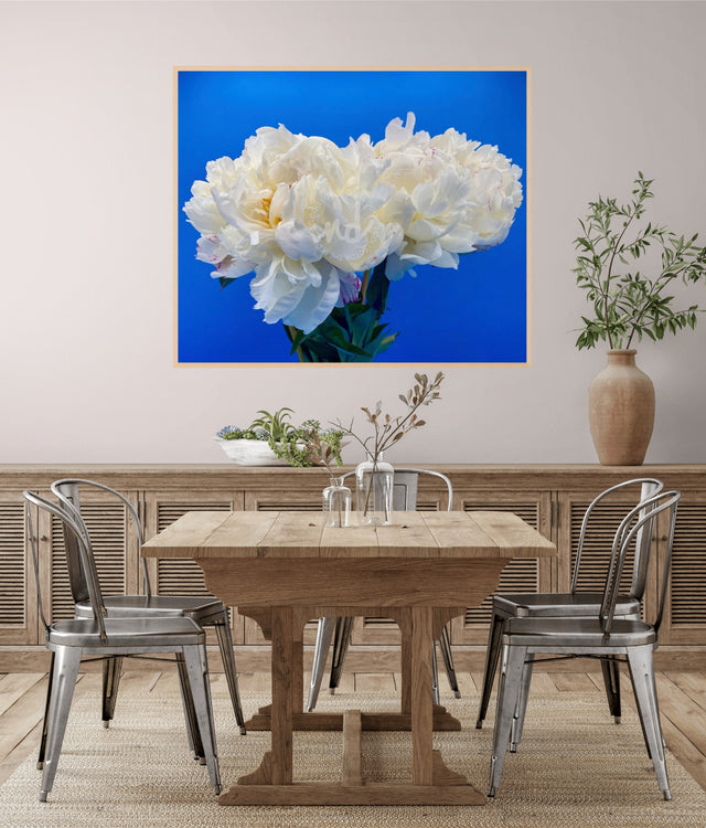 "Vacation Vibes" White Peonies