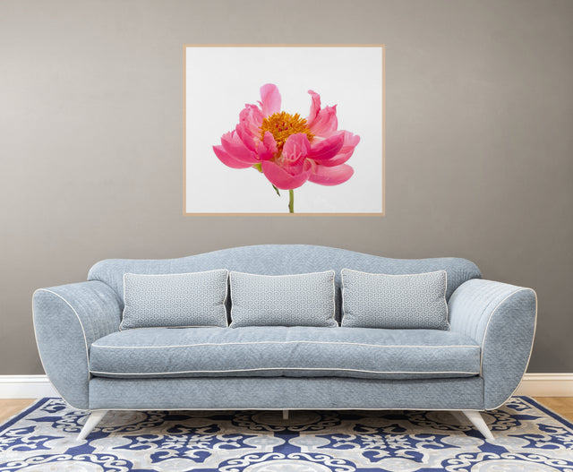 "Wild One" Pink Peony