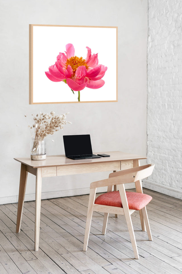 "Wild One" Pink Peony