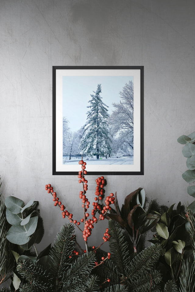 "Wintertime in Colorado" Art Print