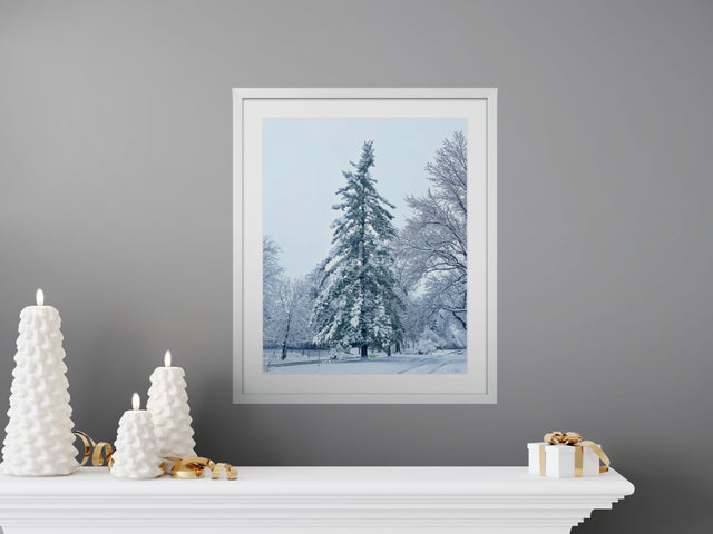 "Wintertime in Colorado" Art Print