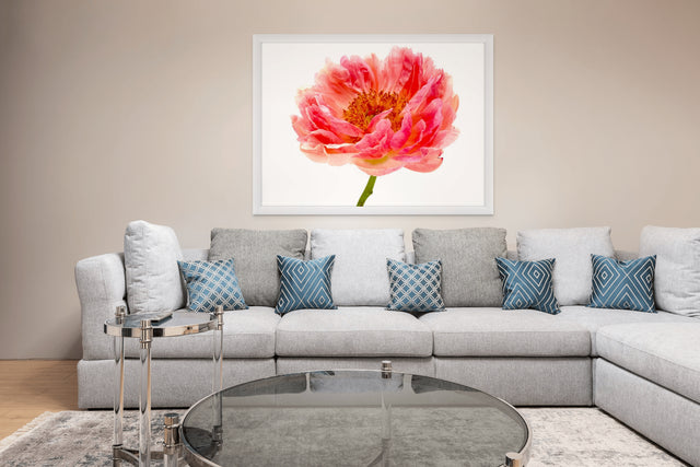 "You're a Peach" Pink Peony