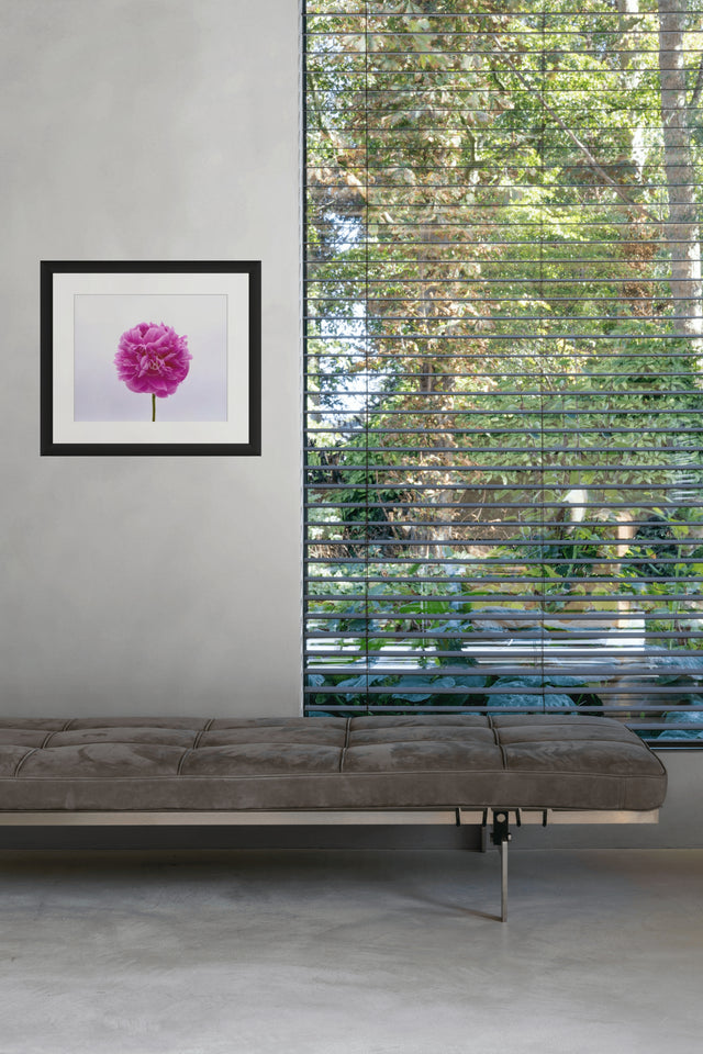 "You're Berry Special" Pink Peony