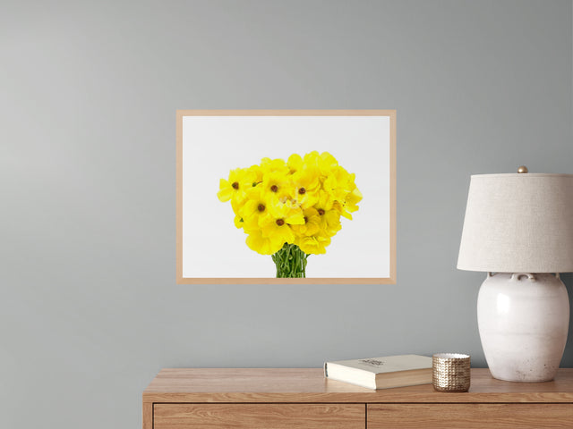 "Youthful Yellow" Yellow Ranunculus