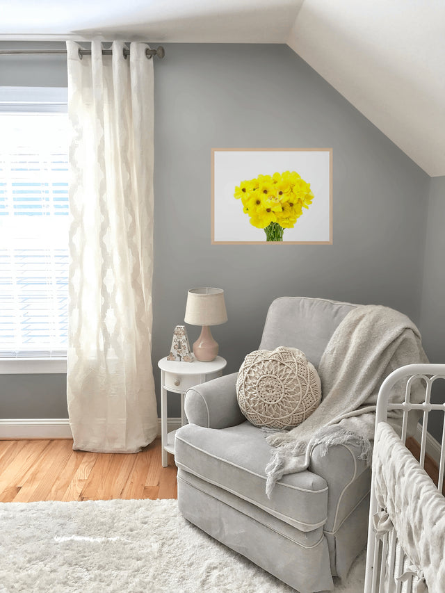"Youthful Yellow" Yellow Ranunculus