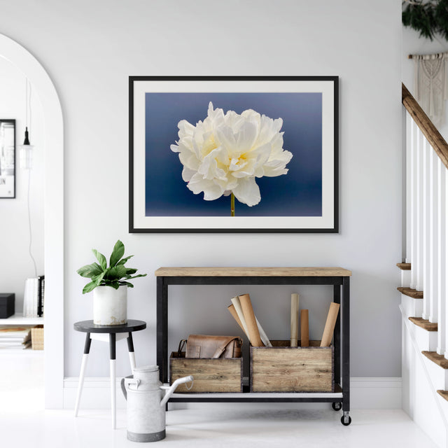 "40 Love" White Peony